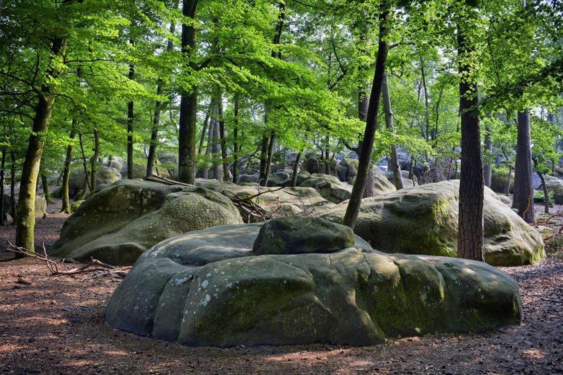 Maison De Charme En Foret De Fontainebleau Recloses Zewnętrze zdjęcie